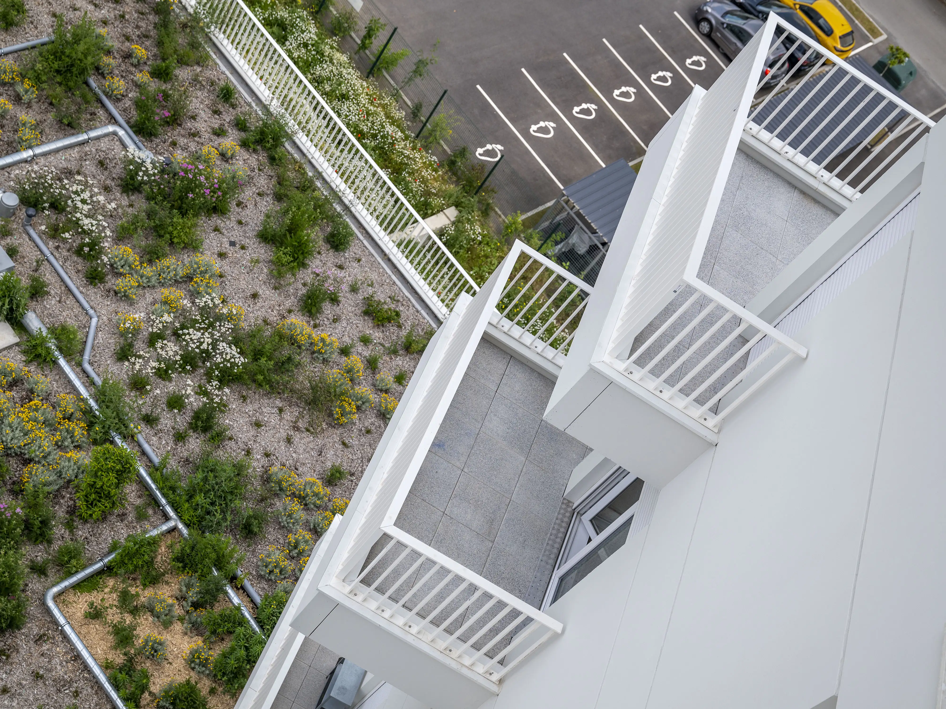 Image Carousel 3 L'IMPÉRIAL - Rennes